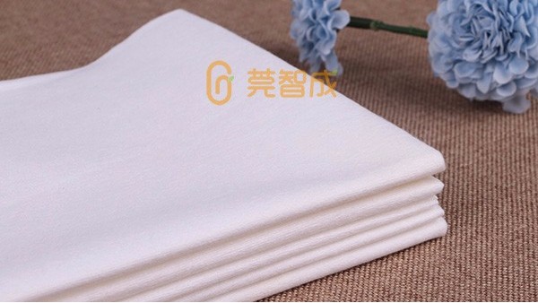 水刺無(wú)紡布-可沖散濕巾的挑戰(zhàn)